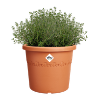 algarve cilindro 25cm terra